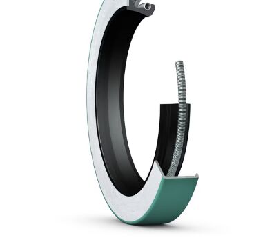 ซื้อ CR 75X100X10 OIL-SEAL STEEL เดี่ยวพร้อมสปริง การผลิตออนไลน์