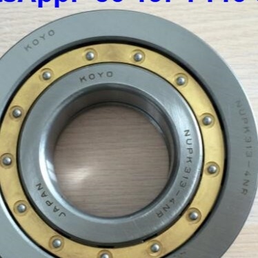 NUP313-4N หมุนม้วนทรงกระบอก NUPK313-4NRS02C3 หมุนม้วนที่มีวงแหวนสนาป