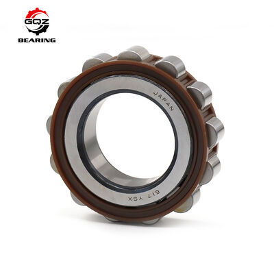 617YSX Nylon Cage Cylindrical Roller Bearings 60x113x31mm Reducer Eccentric Bearings 617 YSX