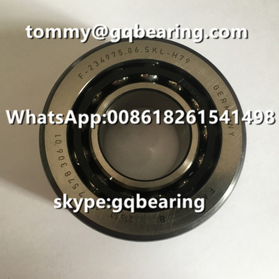 วัสดุเหล็กโครม FAG F-234975.06 F-23497506.SKL-H79 BMW ความแตกต่างของรถยนต์